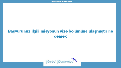 Başvurunuz ilgili misyonun vize bölümüne ulaşmıştır ne demek